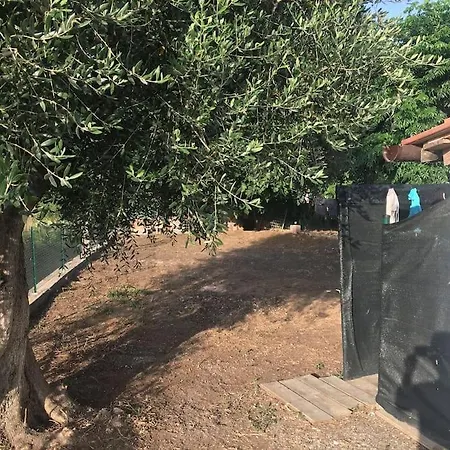 Apartment Green Holiday