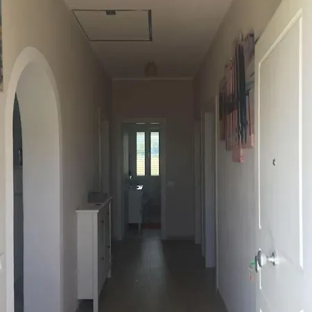 Apartment Green Holiday