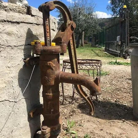 Green Holiday * Castiglione della Pescaia