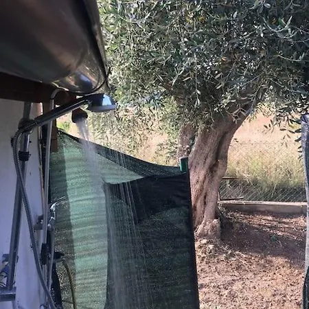 Green Holiday Apartment